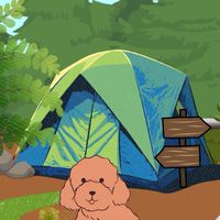 貴賓露營團⛺️🔥🪵
