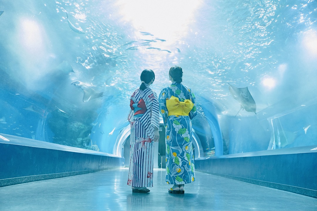 MaxellAquaPark品川水族館