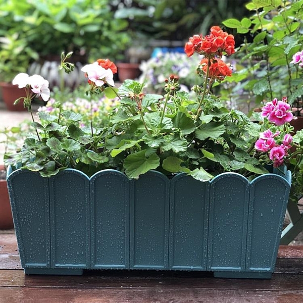 全館免運，支持開髮票，外島派送，有疑問可以在商品問與答留言喲。