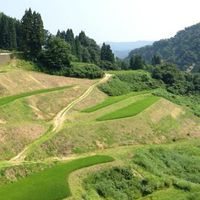 新潟応援協会〜新潟を愛し応援する者の会