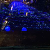 ずーっと一緒