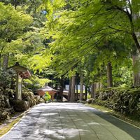 経営資源の運用相談
