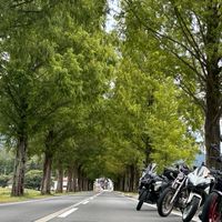 Peace of Mind Bikers(愛知バイクツーリング)