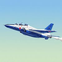 🔰初心者の為の航空祭＆ブルーインパルス