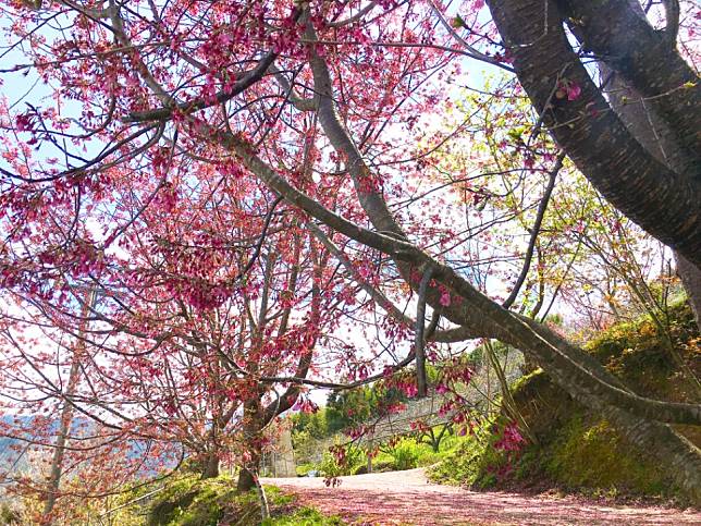 圖片來源：雄獅旅遊