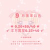 🍼水豚優子日本連線/官網/設計師手作商品代購🍼