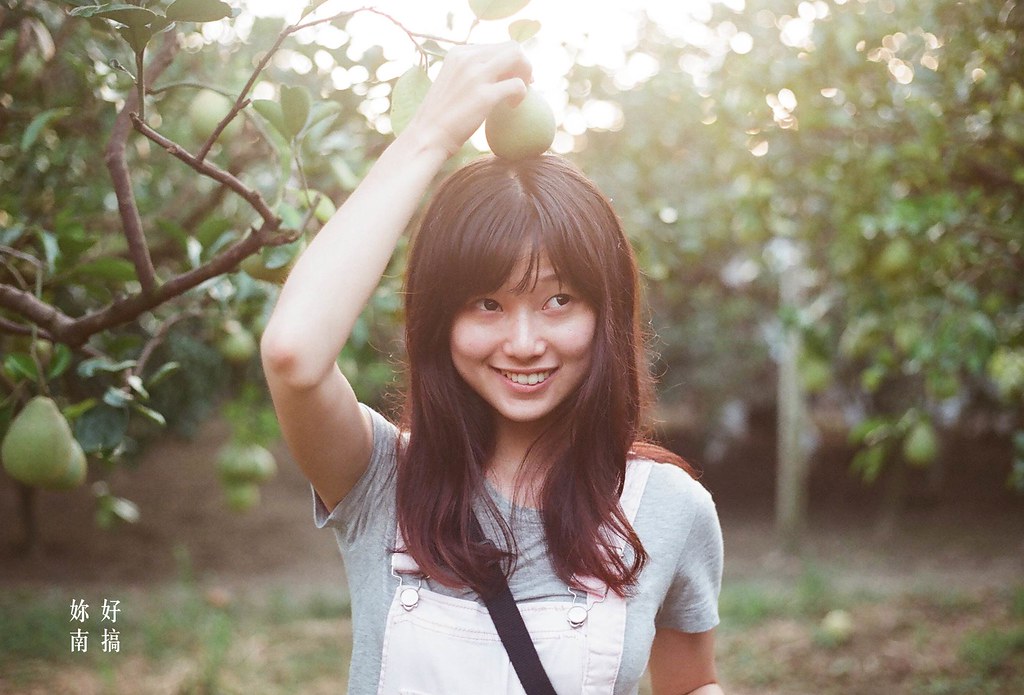 台南麻豆一日遊