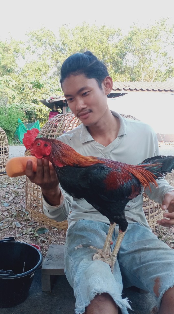 ซุ้ม.อาชาลีโอ ฟาร์ม