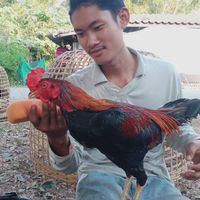 ซุ้ม.อาชาลีโอ ฟาร์ม
