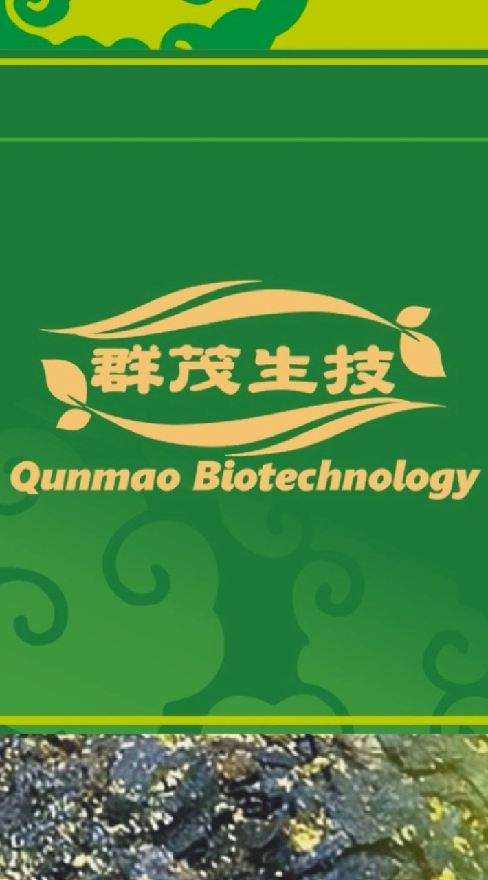 群茂分享見證