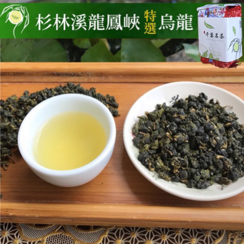 【千葉茶葉】杉林溪龍鳳峽特選手採烏龍茶/青茶1斤裝/1600元｜評鑑嚴選茶 可加購茶葉禮盒包裝 買五斤送半斤