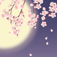 今宵桜の宴