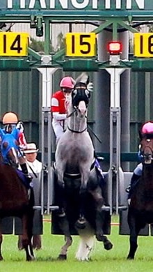 今週のおすすめレース🐴【競馬予想】 OpenChat