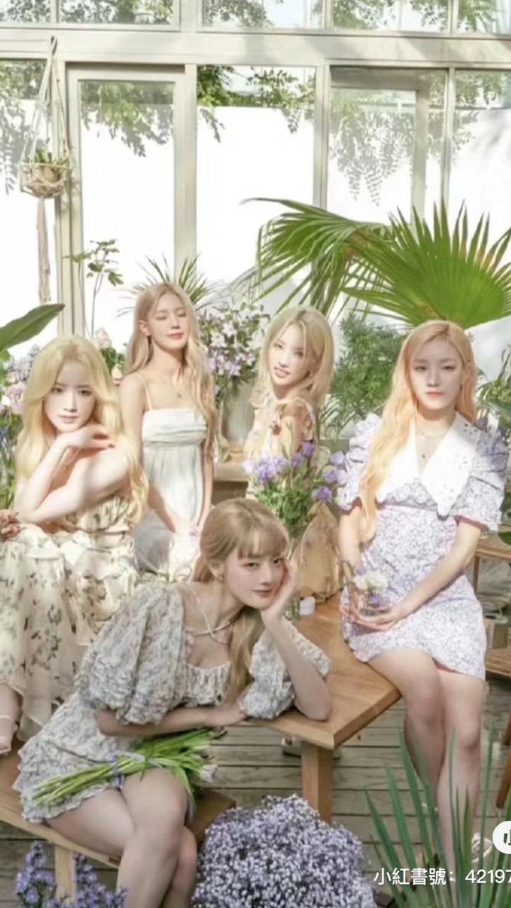 RO Koop娛樂公司🌷