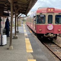 修学旅行研究所の活動