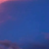 将棋ウォーズ（友達対局と詰将棋と次の一手）昇級目指しましょ♪