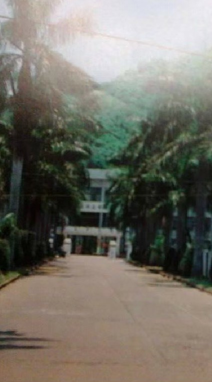 旗美高中1991