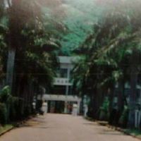 旗美高中1991