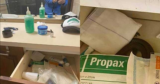 抽屜驚見棕色不明物！請來救援才知…「牠世界第2毒」