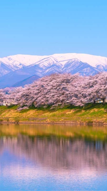 宮城県 仙南地区 地域情報共有