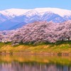 宮城県 仙南地区 地域情報共有