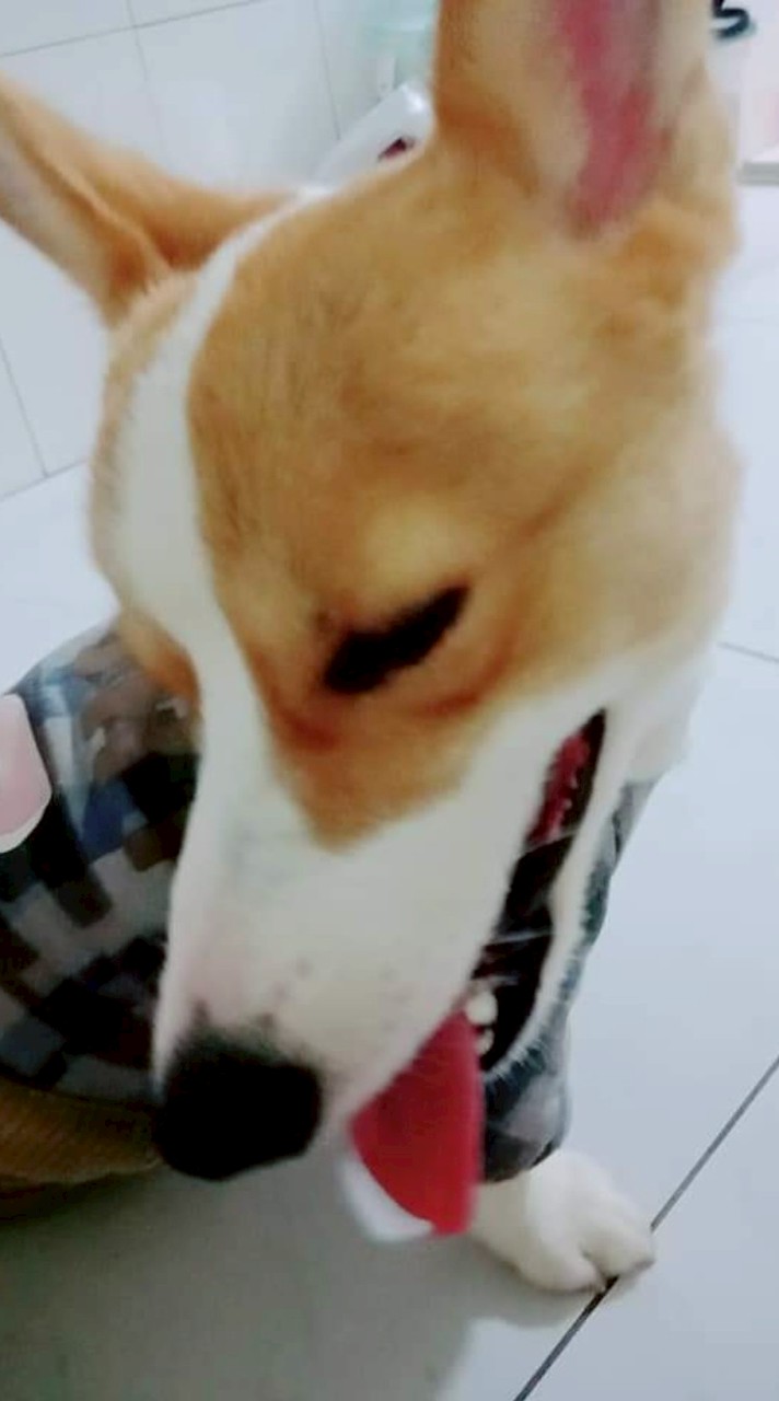 日常生活補給站❤️