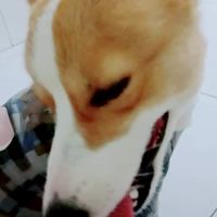 日常生活補給站❤️