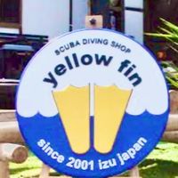イエローフィンのオープンチャット