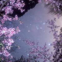 虹桃 _ ハント 緩也 ‼️