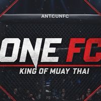 ONE FC 27