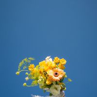 115年桃姐妹社群
