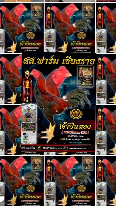 สส.ฟาร์มเชียงราย