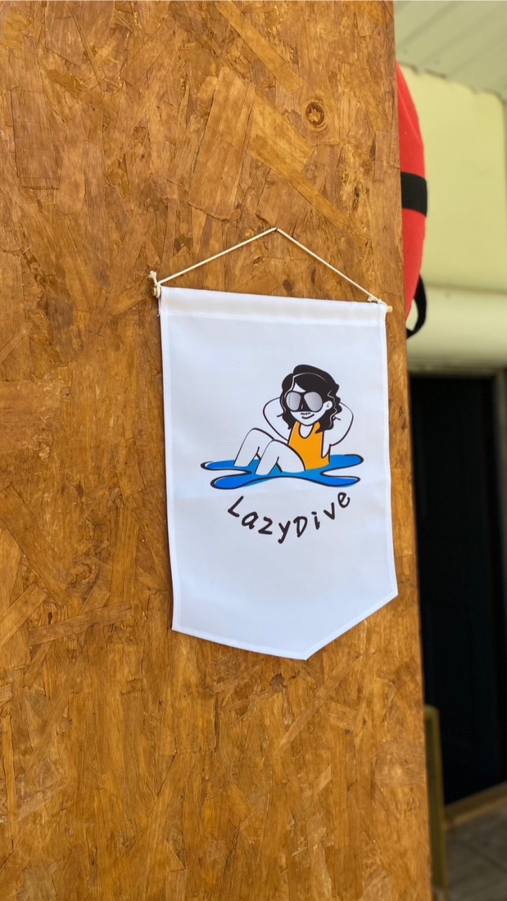 Lazydive