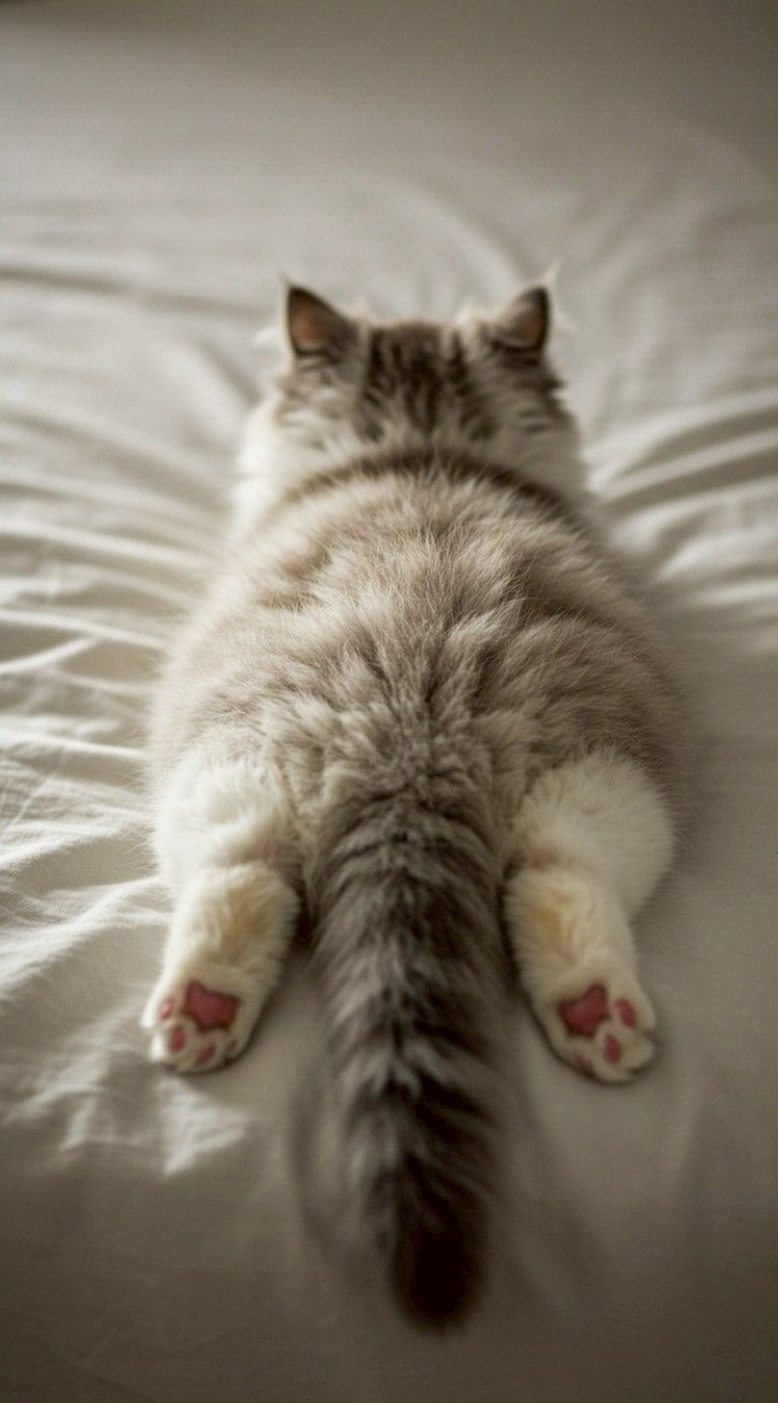 🔥 熱血動漫風「異世界二次元聚集地💫