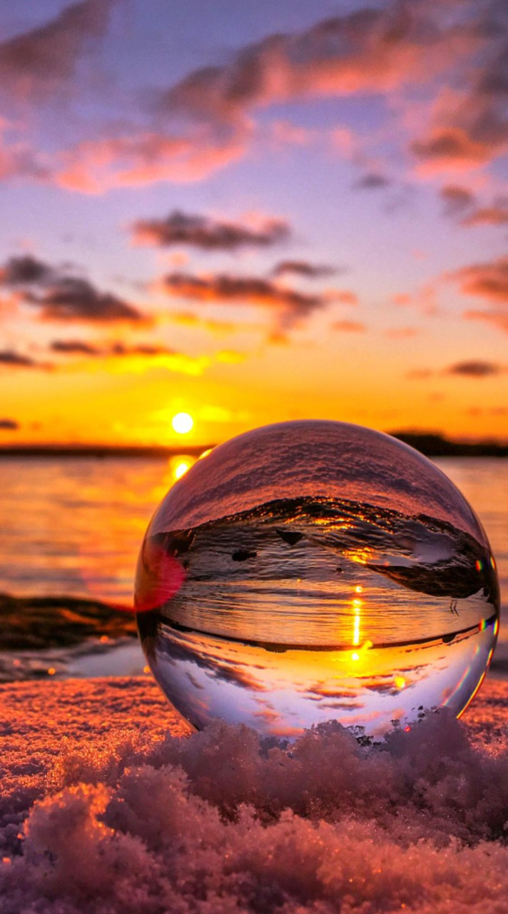 🔥 熱血動漫風「異世界二次元聚集地💫