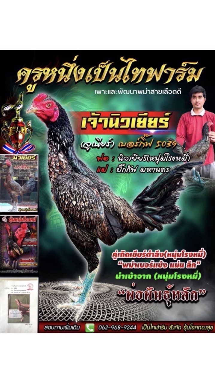 📣ครูหนึ่ง เป็นไทฟาร์ม💥