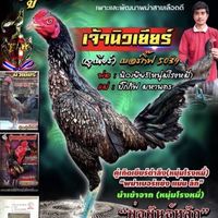 📣ครูหนึ่ง เป็นไทฟาร์ม💥