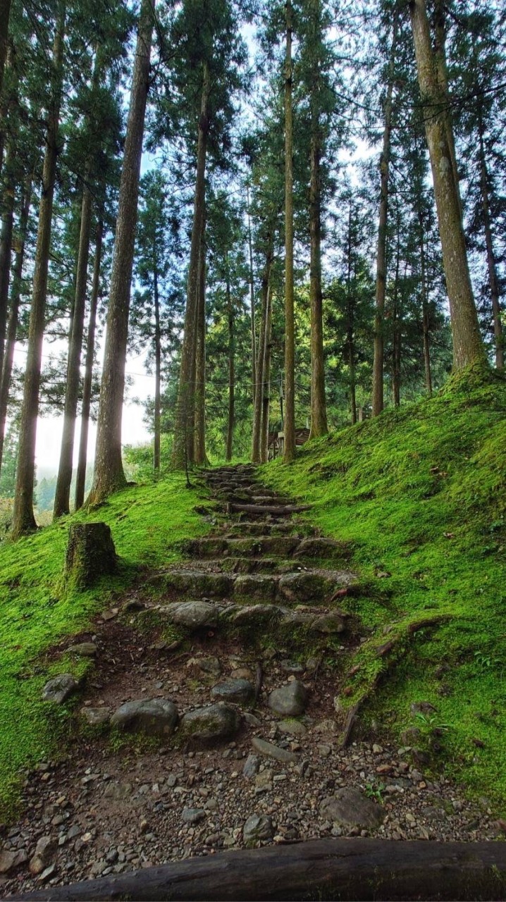 三多摩🌳多摩大好きっ子集まれ🍀