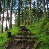 三多摩🌳多摩大好きっ子集まれ🍀