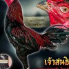 อ.อิทธิพัทธ์ โกวเซ้มฟาร์ม💯อุทัยธานี🐲