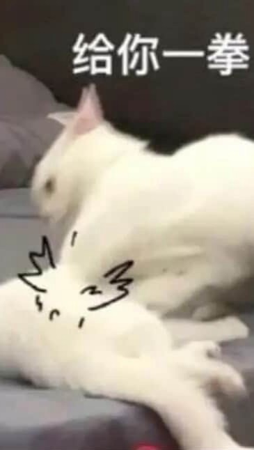 哎呦哎呦