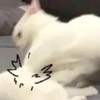 哎呦哎呦
