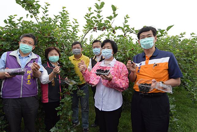 影 紅不讓 第一屆百大青農許宏賓草生栽培桑葚 Nownews 今日新聞 Line Today