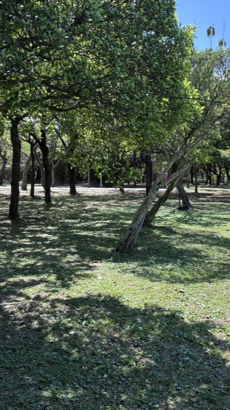 草地遊牧瑜伽