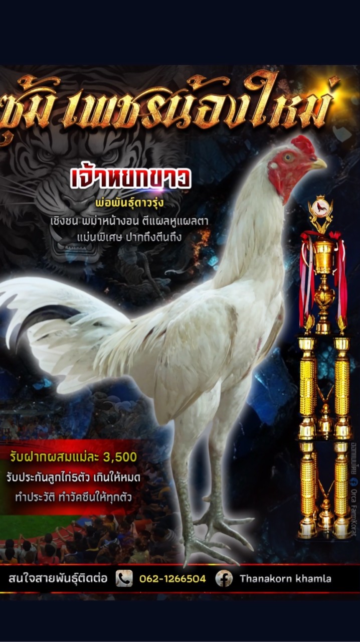 ซุ้มเพรชน้องใหม่