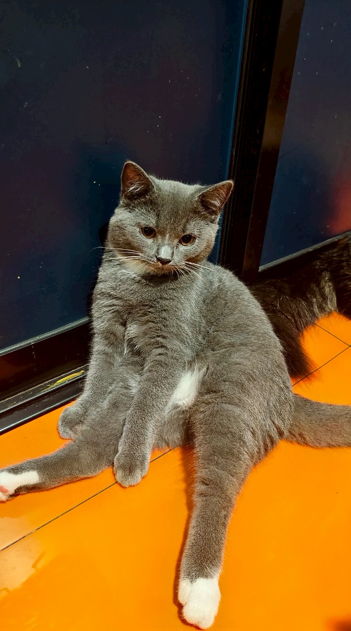 ห้องเก็บรูท