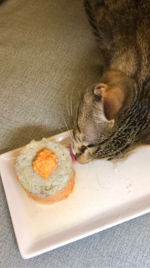 (巴豆餚)貓🐱狗🐶寵物鮮食（2群）