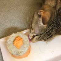 (巴豆餚)貓🐱狗🐶寵物鮮食（2群）