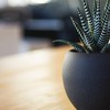【WEB教えルーム】HTML,CSS,PHPとか   ﾋﾟｮﾝ⋆⸜(* ॑꒳ ॑*  )⸝ﾋﾟｮﾝ