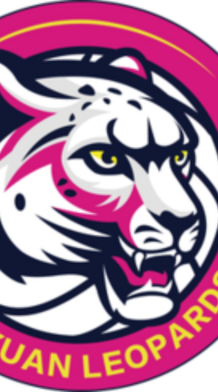 桃園雲豹飛將群